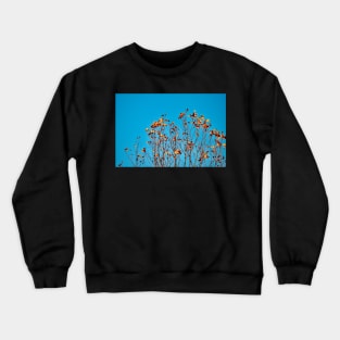 Bell Curve Crewneck Sweatshirt